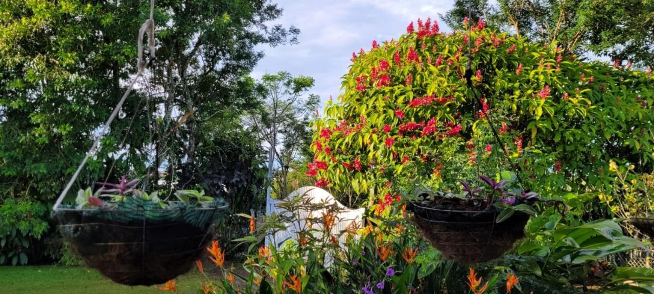 Hospedaje Finca Agroturistica Dona Rufa Rio Sereno Exteriér fotografie