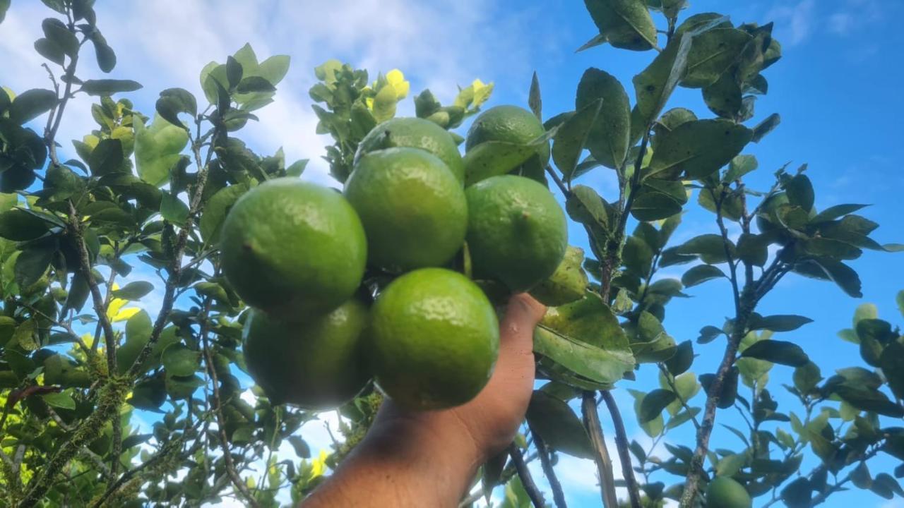 Hospedaje Finca Agroturistica Dona Rufa Rio Sereno Exteriér fotografie