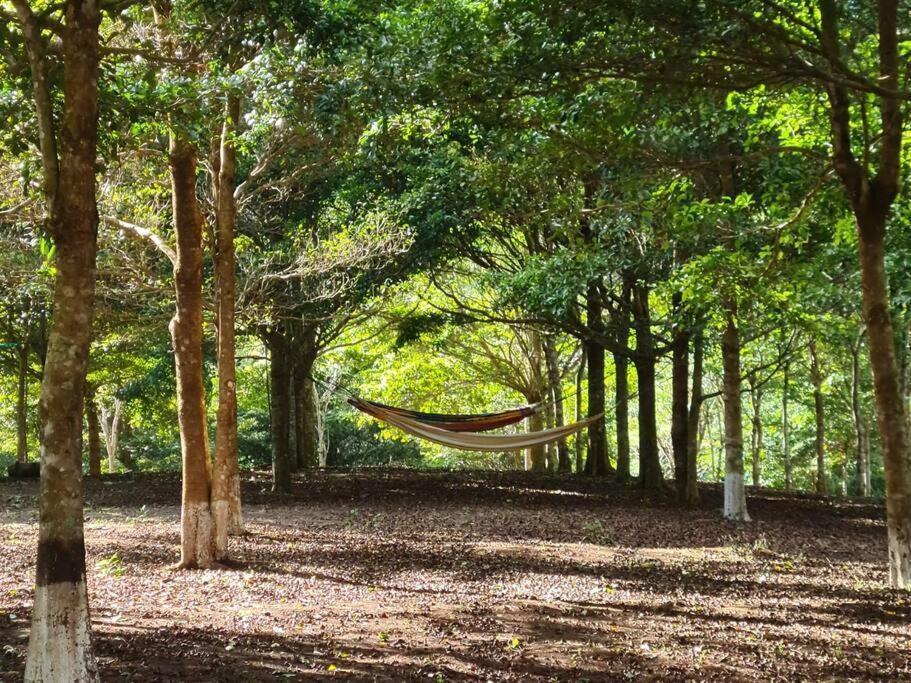 Hospedaje Finca Agroturistica Dona Rufa Rio Sereno Exteriér fotografie
