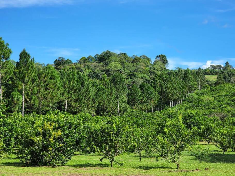 Hospedaje Finca Agroturistica Dona Rufa Rio Sereno Exteriér fotografie