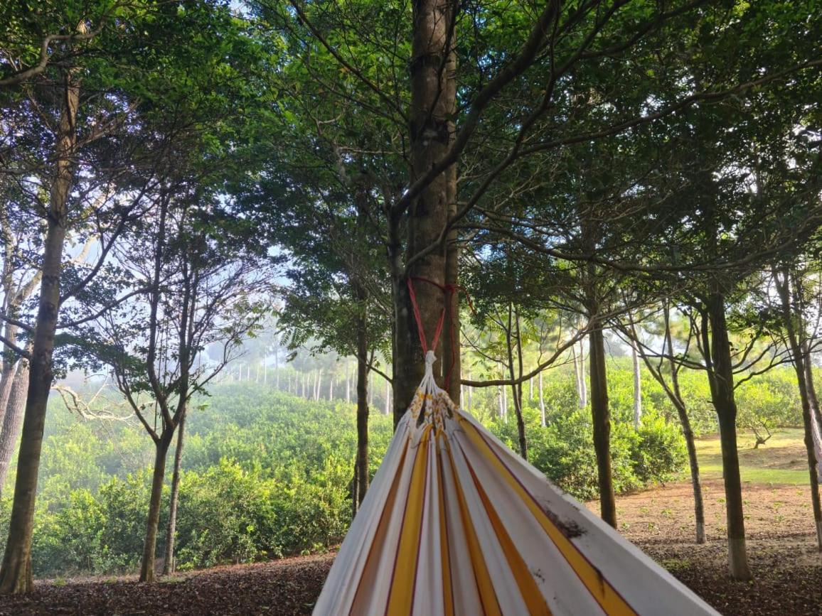Hospedaje Finca Agroturistica Dona Rufa Rio Sereno Exteriér fotografie
