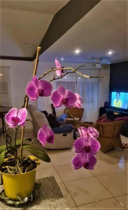 Hospedaje Finca Agroturistica Dona Rufa Rio Sereno Exteriér fotografie